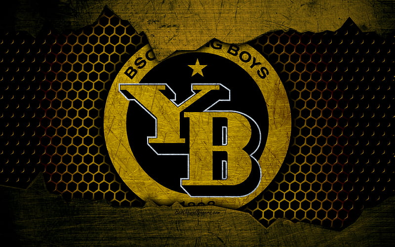 Young Boys Football Club