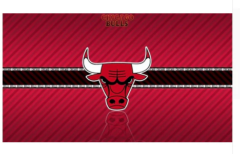 Chicago Bulls FC