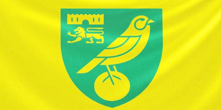 Norwich City FC: The Rise, Struggles & Future of the Club